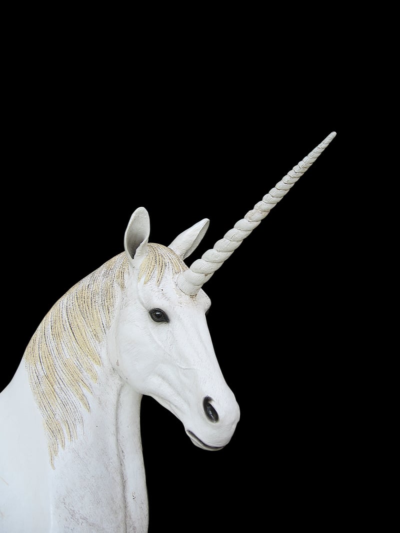 Unicorn-themed cuisine